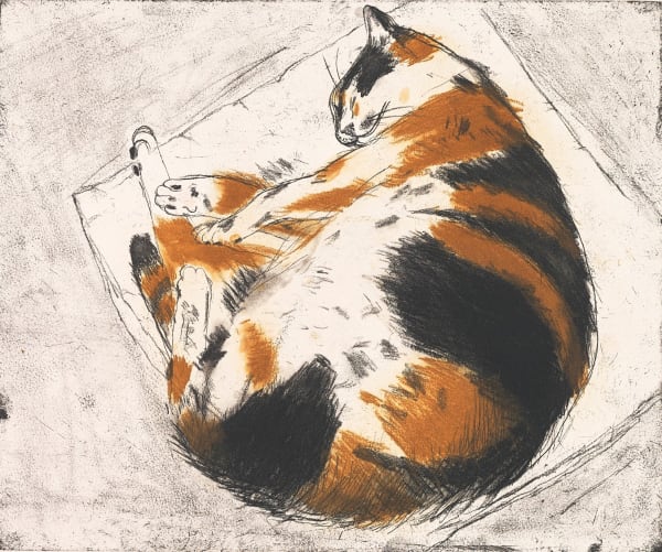 Elizabeth Blackadder RSA Coco Sleeping, 2003 Etching Image: 30 x 36 cm Edition of 80 plus 2 artist's proofs