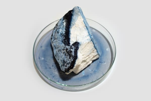 Anne Bevan RSA (Elect) + Mark Edmonds all manner of singular forms (Erratic 2), 2024 Cast plaster with ink and watercolour in glass dish Approx. 20 x 12 cm