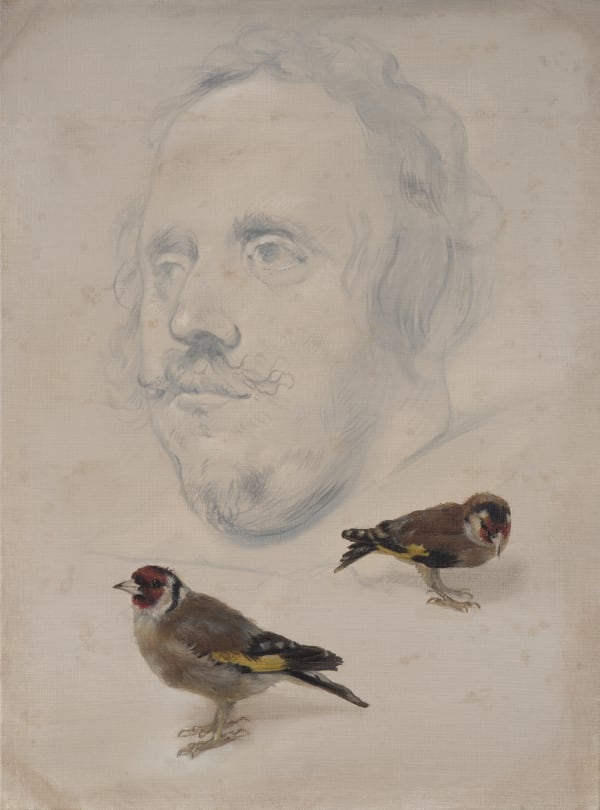 Derrick Guild RSA Natural History No. 4, 2020 Oil and acrylic on linen 30.5 x 40.5 cm