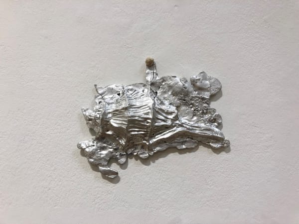 Paige Silverman, Cavity (3)