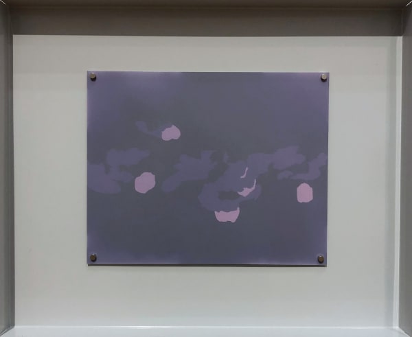 Natasha Bucheit Camouflage as daily practice II Lumen print on resin coated photographic paper, steel 41.5 x 34 x 3 cm