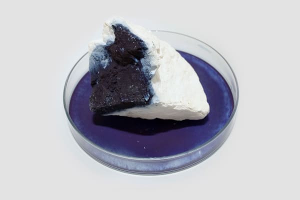 Anne Bevan RSA (Elect) + Mark Edmonds all manner of singular forms (Erratic 8), 2024 Cast plaster with ink and watercolour in glass dish Approx. 20 x 12 cm