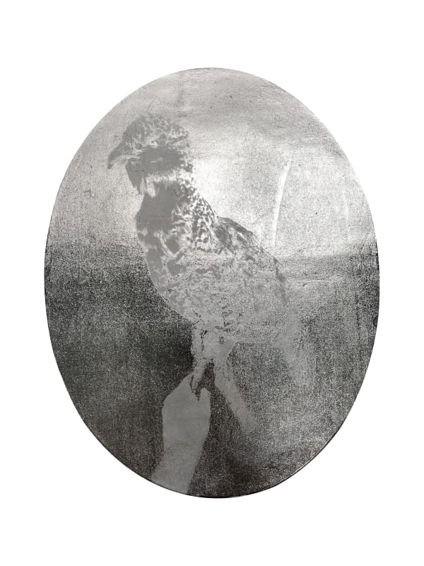 Taxidermy Antique Female Capercaillie (Tetro urogallus). Height is 48cm.