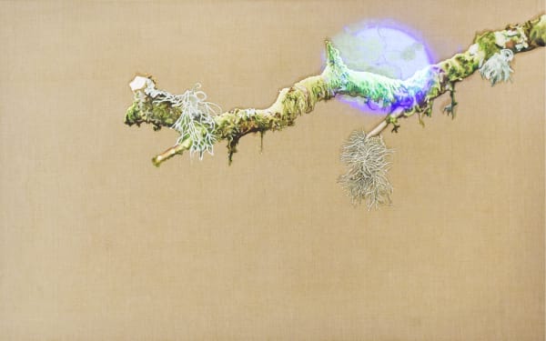 Rachy McEwan Modern Synthesis, 2021 Oil on linen with projection of lichen under microscope 100x 160 cm