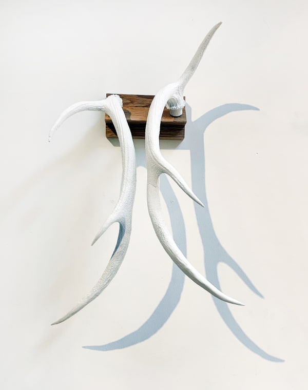 Rosie Trevill Placeholder for a Power of Sorts II Silicon on oak 19 x 50 cm