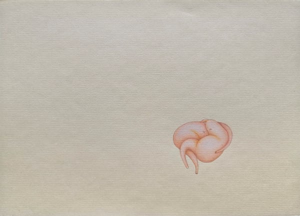 Isla Davie, Untitled