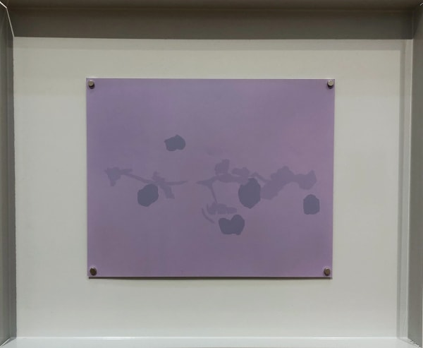 Natasha Bucheit Camouflage as daily practice III Lumen print on resin coated photographic paper, steel 41.5 x 34 x 3 cm