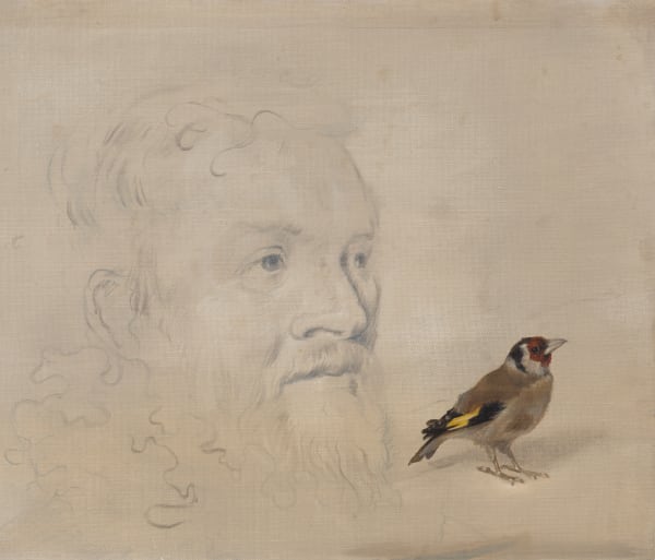 Derrick Guild RSA Natural History No. 2, 2020 Oil and acrylic on linen 30.5 x 35.5 cm