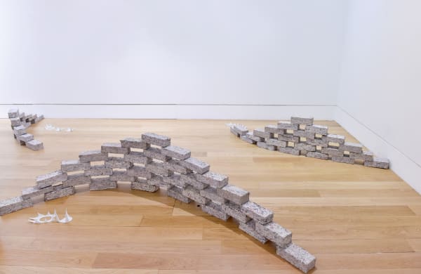 Sean Kemp Pathway (Cleared), 2020 Paper briquettes - 72 bricks Each: 23 x 10 x 10 cm Edition of 72