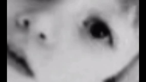 Jillian Lee Adamson …childhood, a poem, 2025 Archival footage short film with spoken word 6 min 30 sec