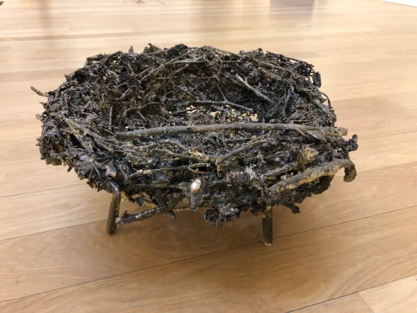 Iona Brown, Nest, 2021