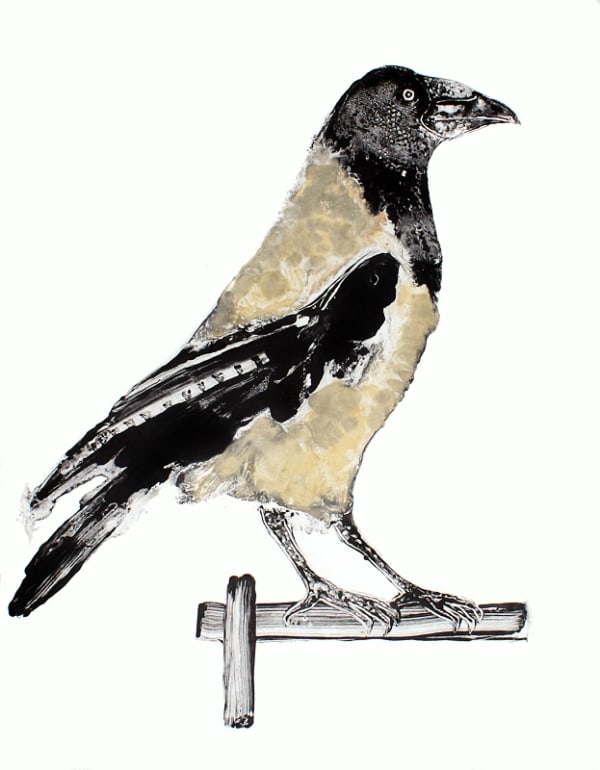 Stuart MacKenzie RSA Hooded Crow Oil on paper 79 x 61 cm