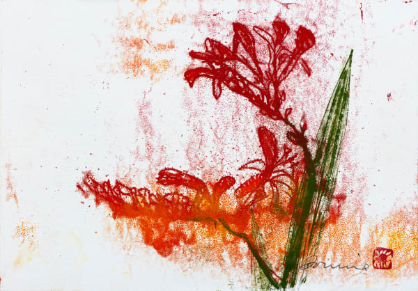 Kate Downie RSA Crocosmia Monoprint on xuan paper 27 x 38 cm