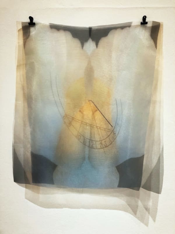 Chiara van den Hoven, Blues Song