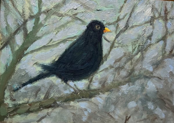 Henry Kondracki RSA Blackbird Oil on board 15 x 21 cm