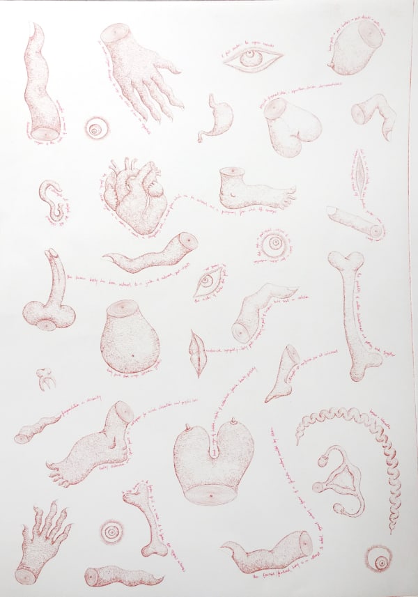 Flore Gardner Part-Body-Parts (A-natomy series), 2020 Etching, hand finished with ink 54 x 37 cm