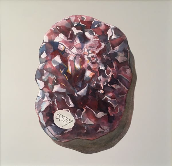 Mair Hughes, Specimen 55/7, 2019