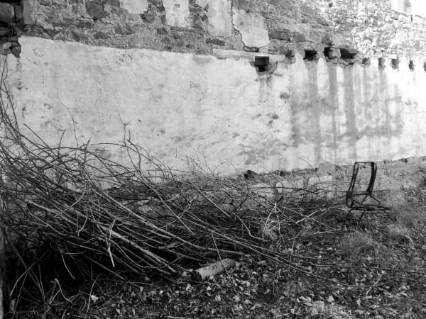 Audrey Grant, AMFORTAS VI, 2020 - 2022