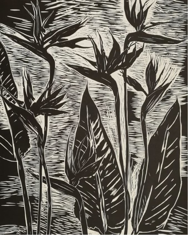 Elizabeth Blackadder RSA, Strelitzia, 1989