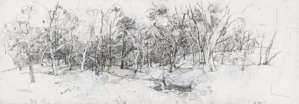 Leon Morrocco RSA Old Gold Mine Workings, near Castlemaine, Victoria, 2018 Charcoal on paper Artwork: 68.5 x 200 cm Framed: 86 x 216.5 cm
