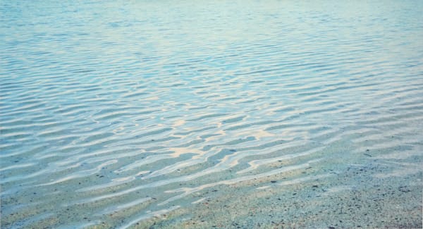 John Mackechnie RSA, Traigh III, 2017