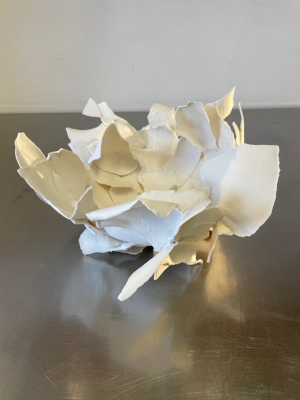 Deborah Whyte, Torn vessel, 2025