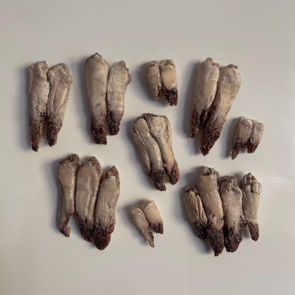 Shannon Louise Leslie Heilagr, 2024 Fired polymer finished with acrylic and watercolour paint 9 x 11.5 cm