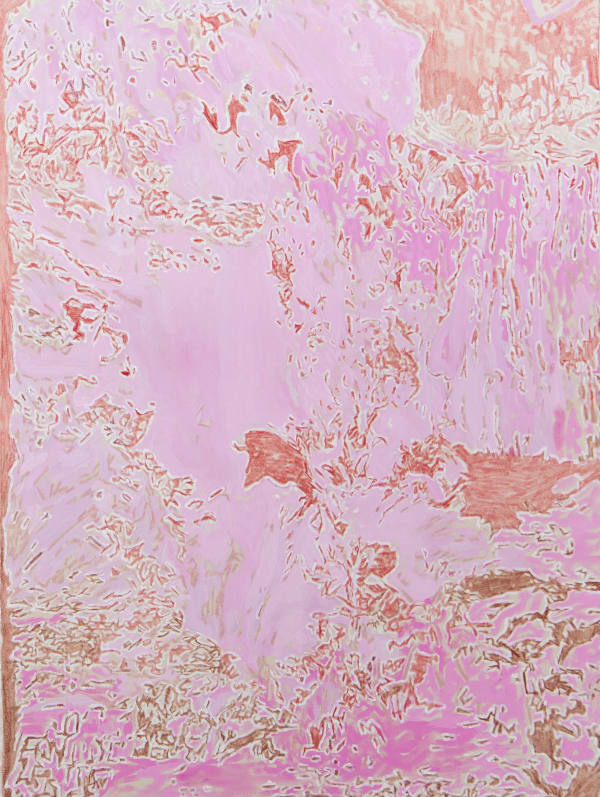 Lara Juneman Pink, 2024 Oil pastel and acrylic on canvas 120 x 60 cm