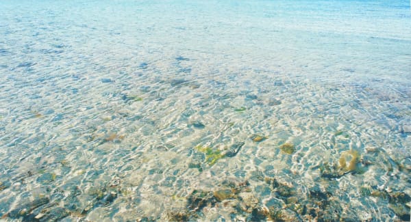 John Mackechnie RSA, Arisaig II, 2020