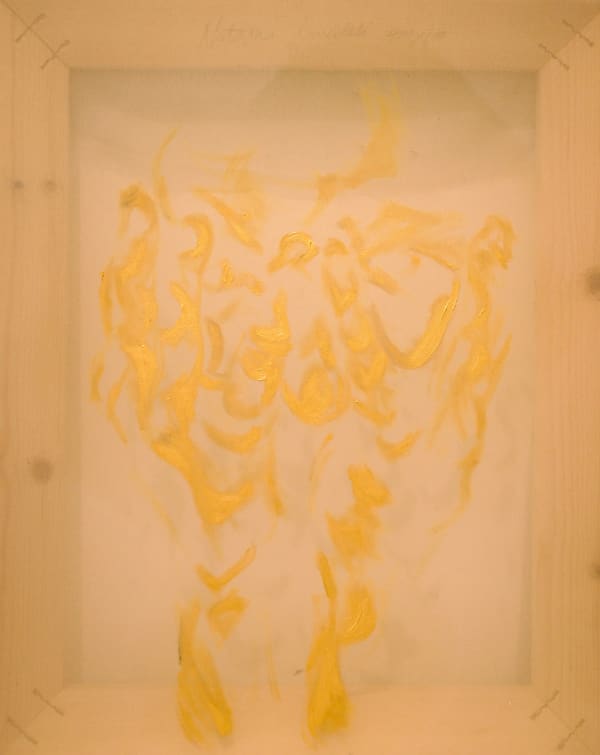 Natasha Kawalek A Night, A Flicker, 2025 Oil on chiffon 40 x 50 cm