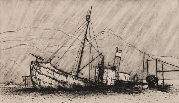 Frances Walker RSA Petrel, South Georgia, 2010 Etching and aquatint 40 x 71 cm Edition of 12
