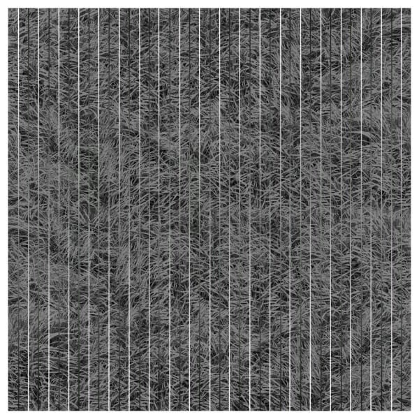 Bill Taylor, Parallel