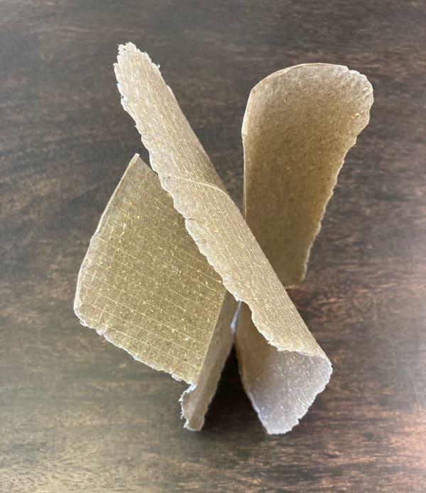 Jacki Parry RSA, Shelter 2, 2019/20