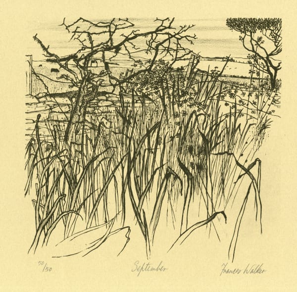 Frances Walker RSA, Untitled (September, Peacock Printmakers Calendar, 1976), 1976