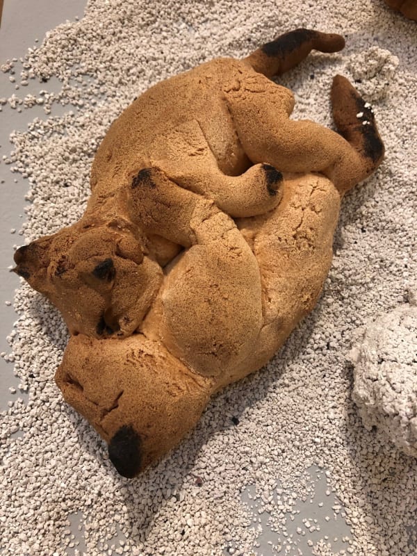 Jasmine Forbes, Sooterkin