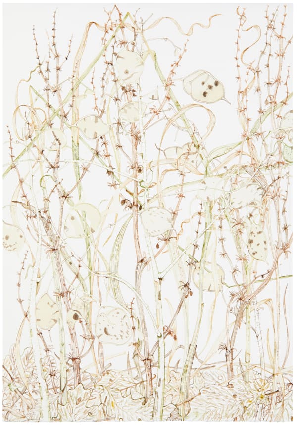 Jane Hyslop RSA (Elect), January Collection I