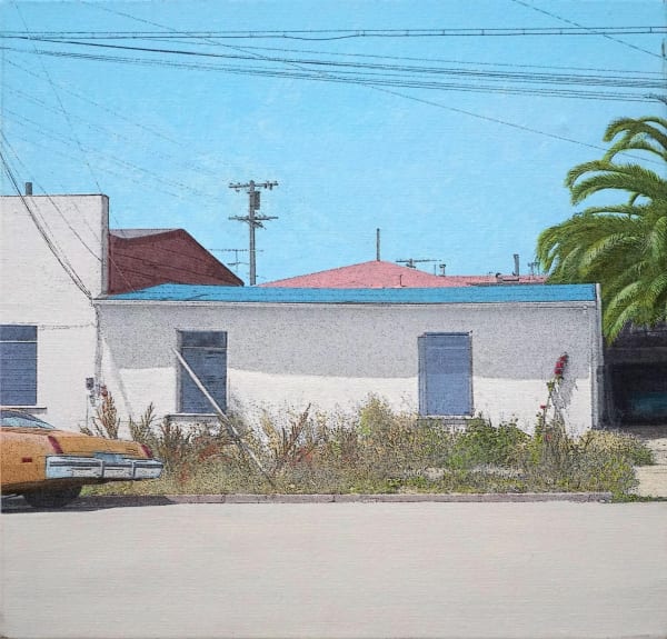 John Mackechnie RSA, Whitewashed