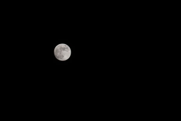 Denise DeLaunay-Wood Full Moon, 2019 Photographic print - Dibond lustre 42 x 30 cm