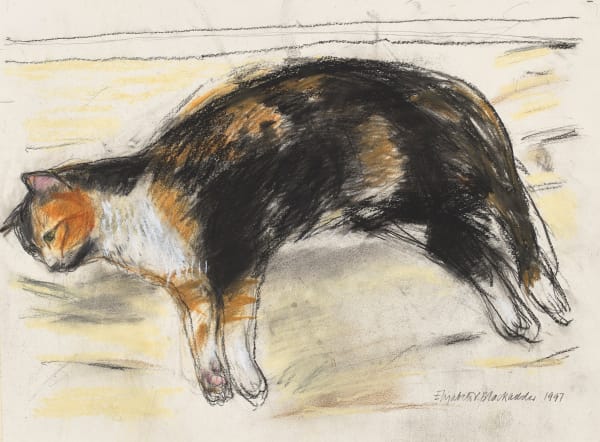 Elizabeth Blackadder RSA Sleeping Cat II, 1997 Pencil and pastel on paper Image size: 28.5 x 40 cm Frame size: 50.5 x 60.6 cm