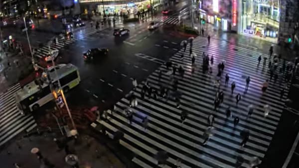 Rod Milne The killing (for culture), 2022 Video 15 minutes 23 seconds