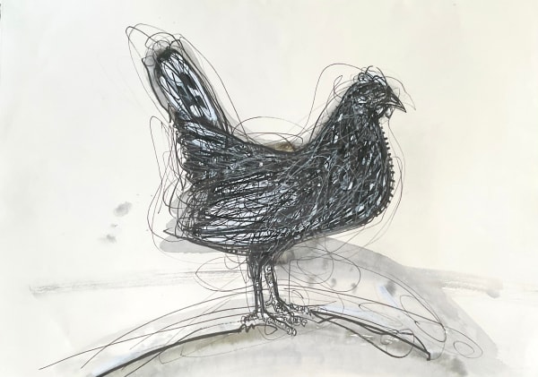 Stuart Mackenzie RSA Species Morphology/ Black Cockerel Drawing and watercolour on arches paper 88.5 x 68.5 cm