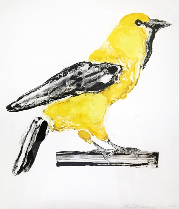 Golden Oriole III