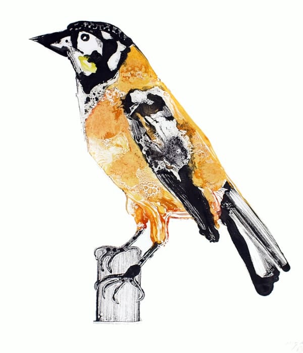 Stuart MacKenzie RSA Troupial I Oil on paper 34.5 x 29.5 cm