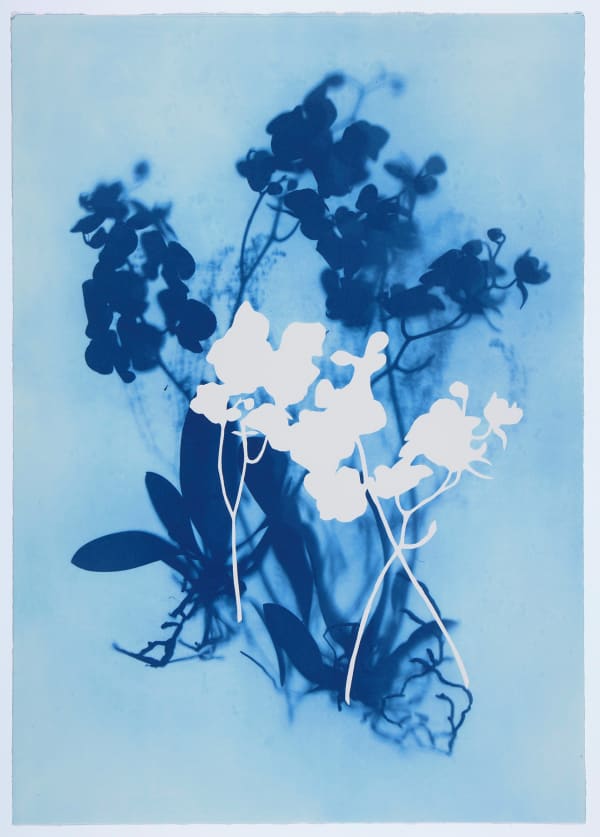Wendy McMurdo RSA, Ghost Orchid (Blue) III, 2023
