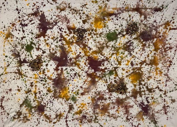 Monika Kus-Picco, From the Rainforest of Brazil, 2024