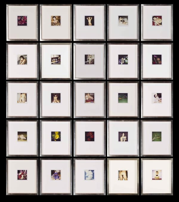Nobuyoshi Araki, 25 Polaroids, ca. 1990-1999