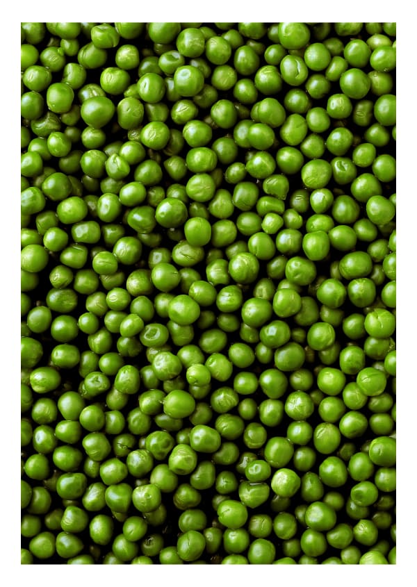 Peas, 2002