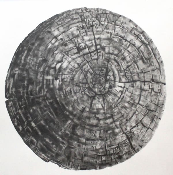 Ashley Perez Boundary, 2023 Graphite on Yupo 20 x 20 in 50.8 x 50.8 cm
