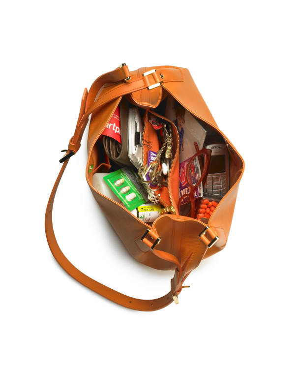 Purse Portraits: Louis (Linda), 2005