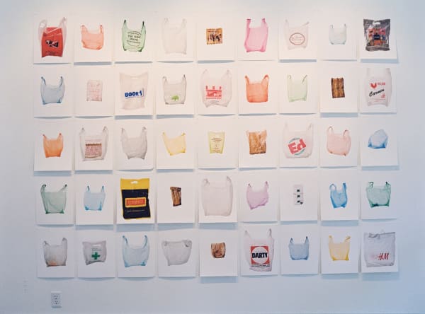 Euro Bags (45 Total), 2009